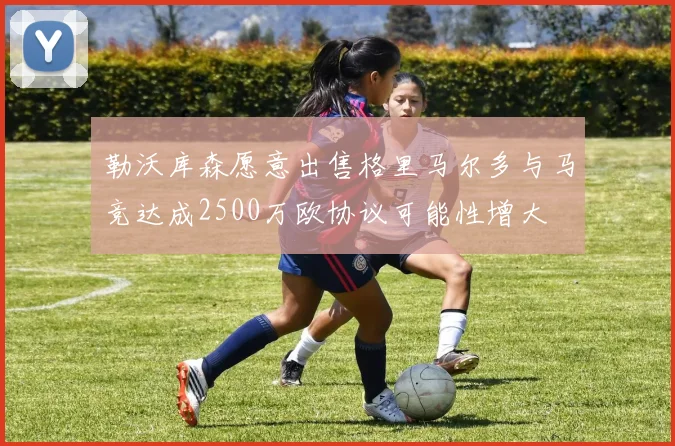 勒沃库森愿意出售格里马尔多与马竞达成2500万欧协议可能性增大
